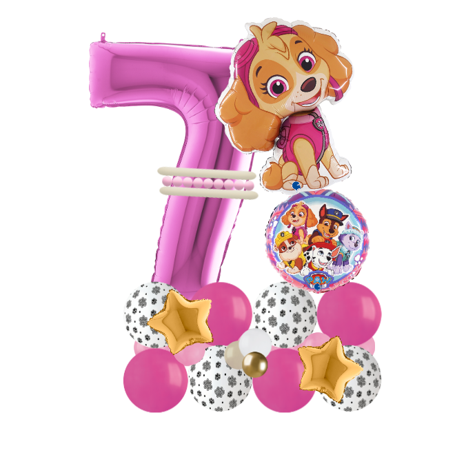 paw patrol sky signature number 7