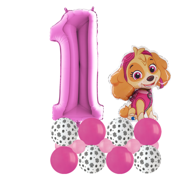 Paw patrol sky luxury number 1