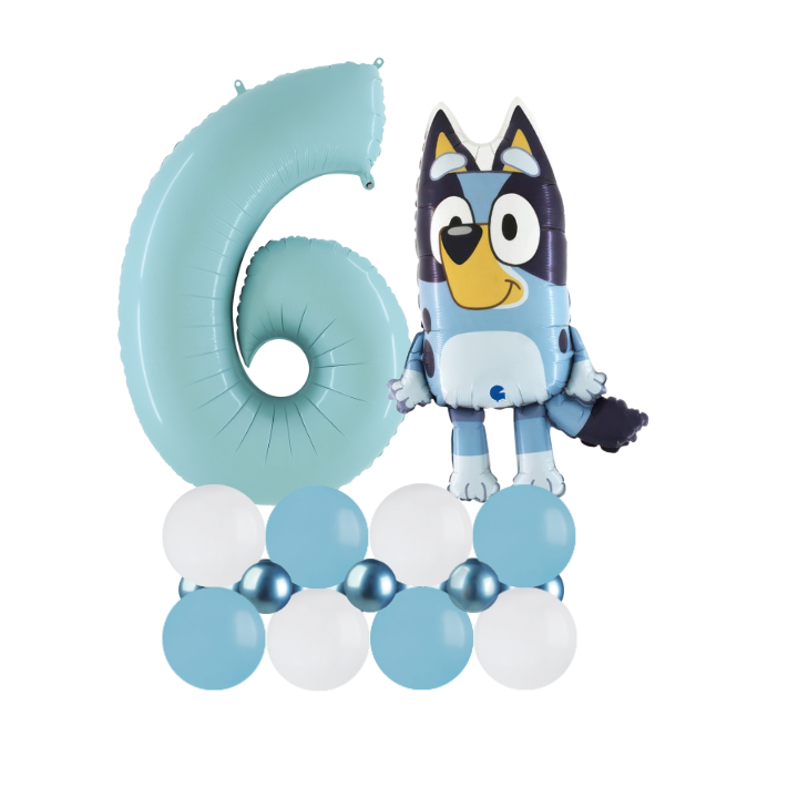 Bluey luxury number 6