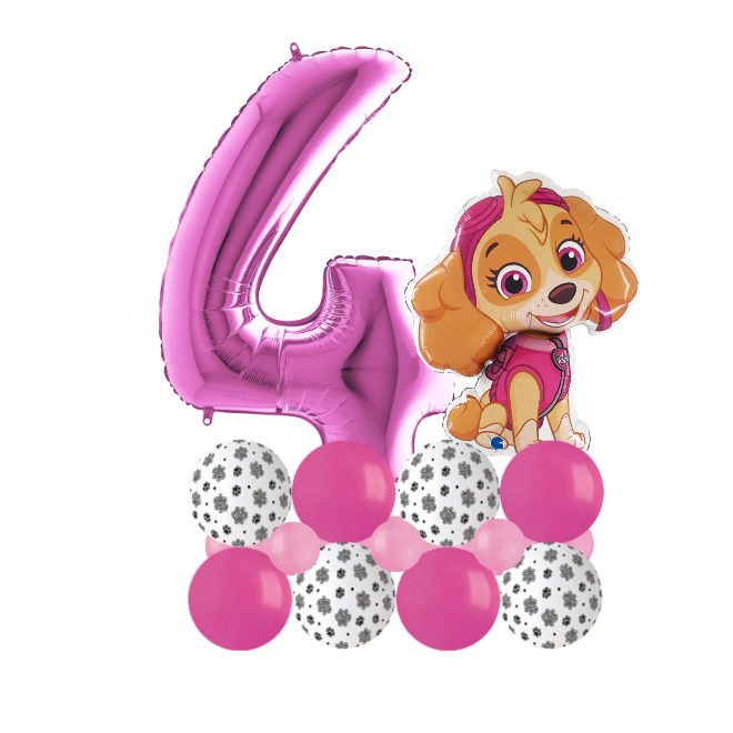 Paw patrol sky luxury number 4