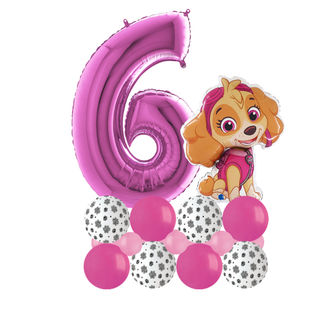 Paw patrol sky luxury number 6