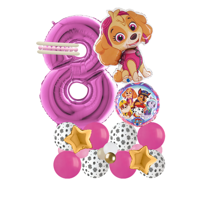 paw patrol sky signature number 8