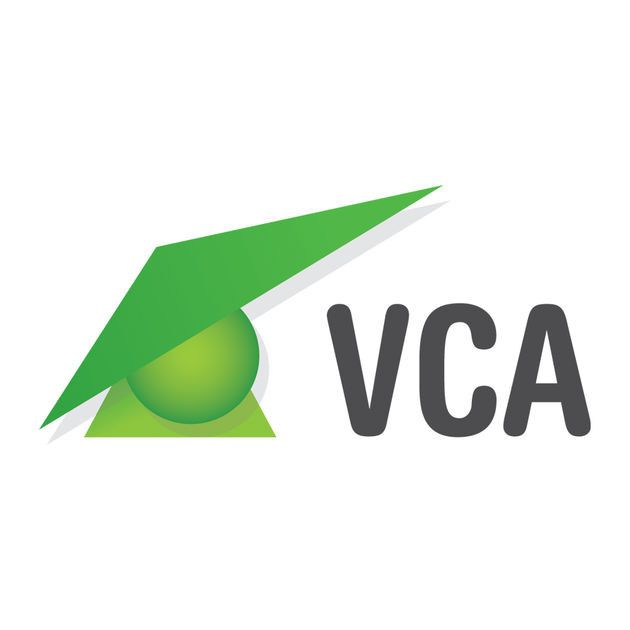Het logo van vca is een groene driehoek met daarin een groene bal.