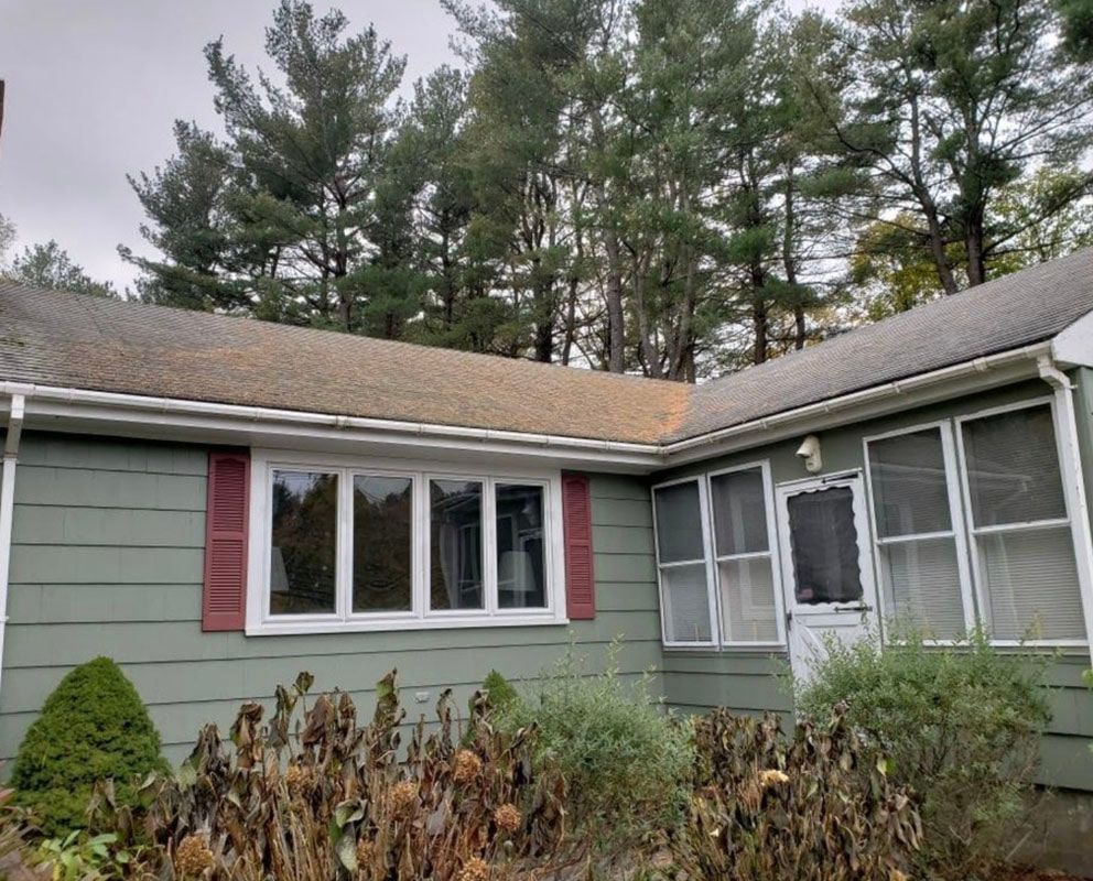 Green house with a discolored roof and overgrown bushes, trees in the background.