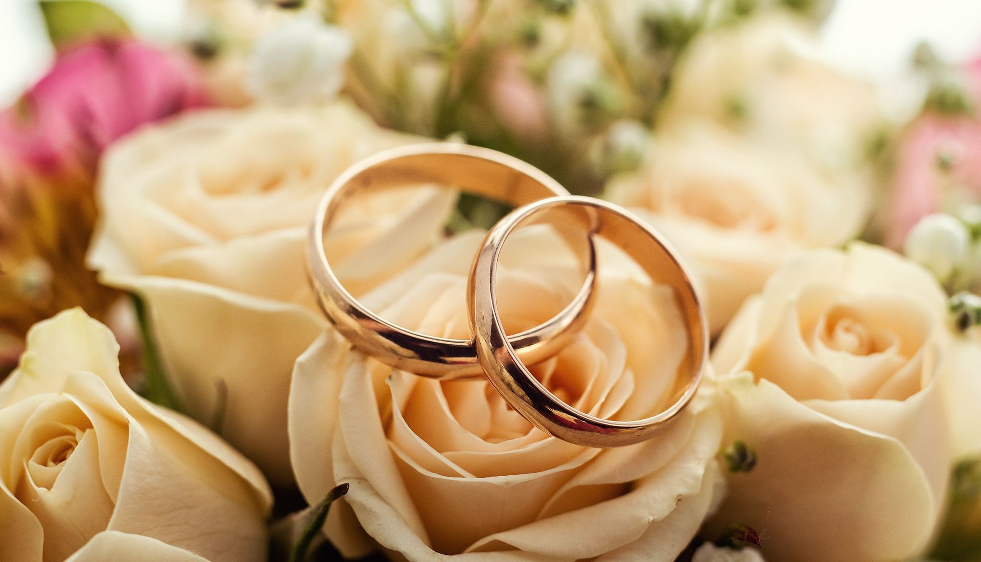 Two gold wedding rings rest on peach-colored roses, symbolizing marriage.