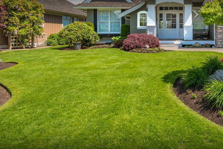 Front lawn with lush green grass, curved flower beds, and a suburban house with blue shutters and porch.