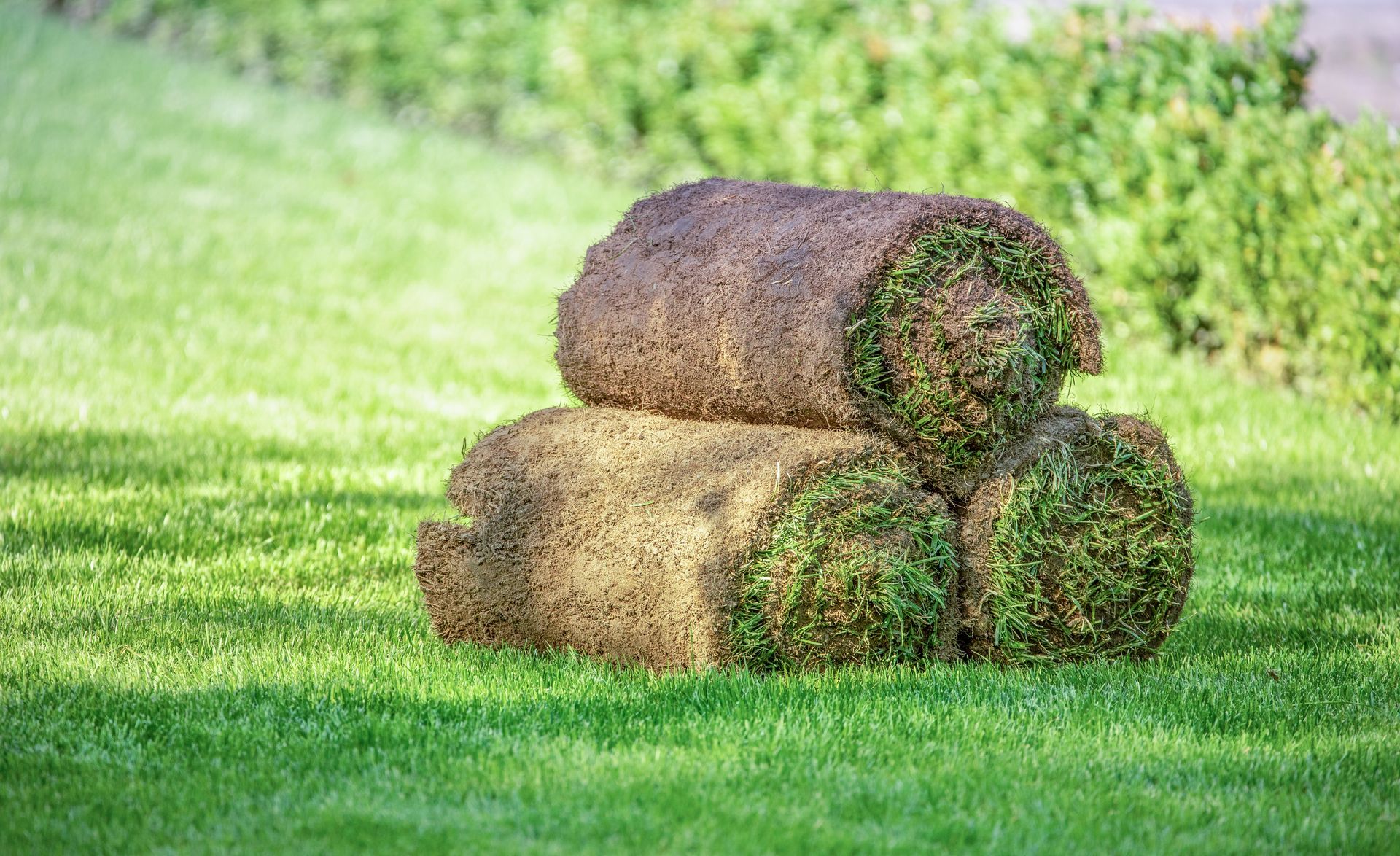 Three rolls of turf are stacked on top of each other on a lush green lawn.