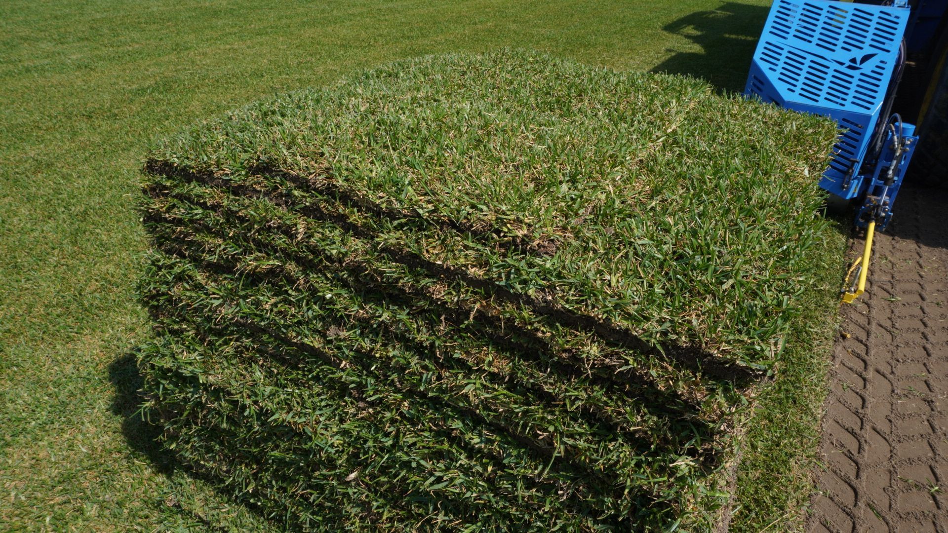 Stacked sod turf rolls on grass beside a paved path and blue crate.
