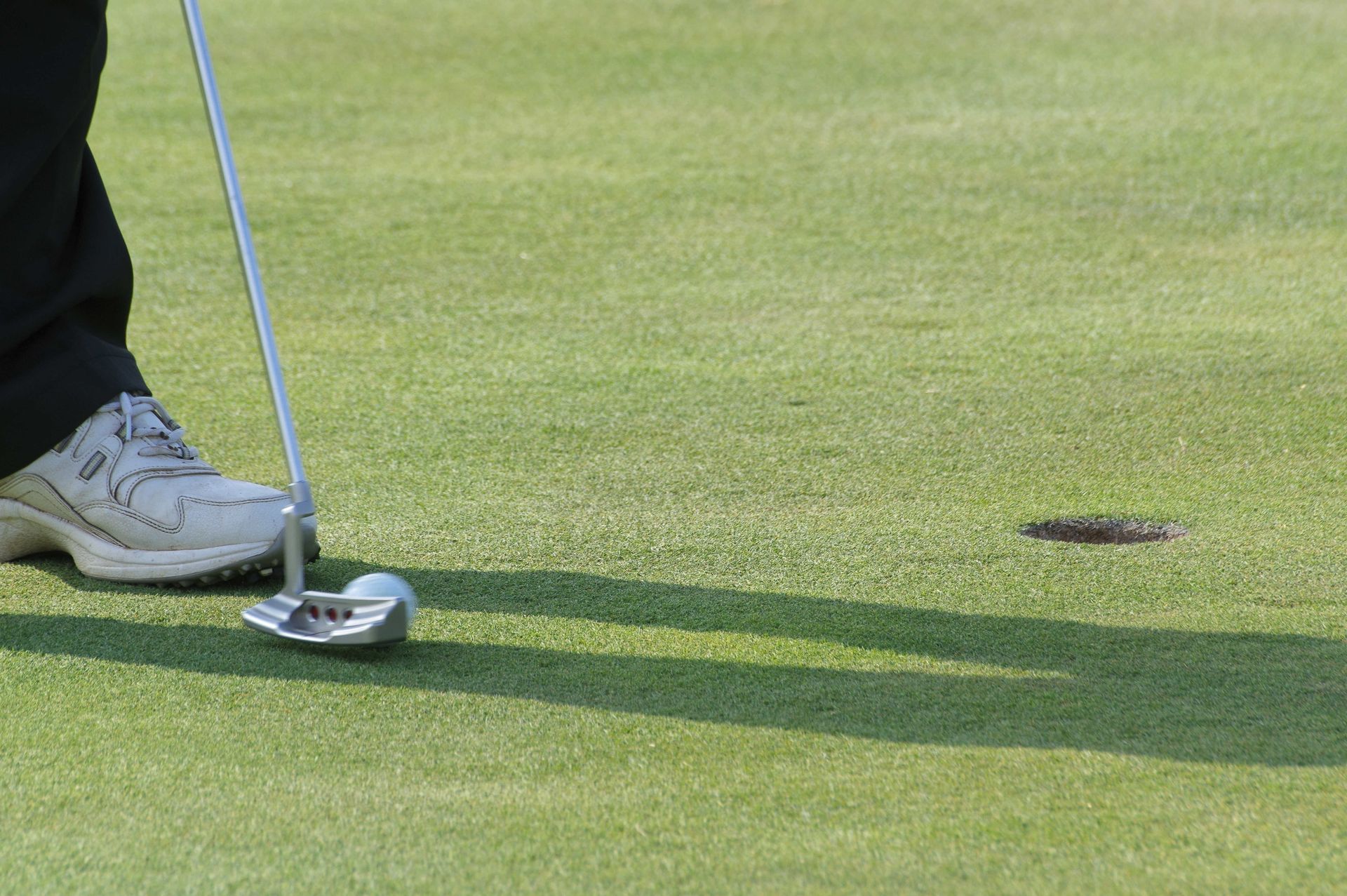 A person is putting a golf ball on a green.