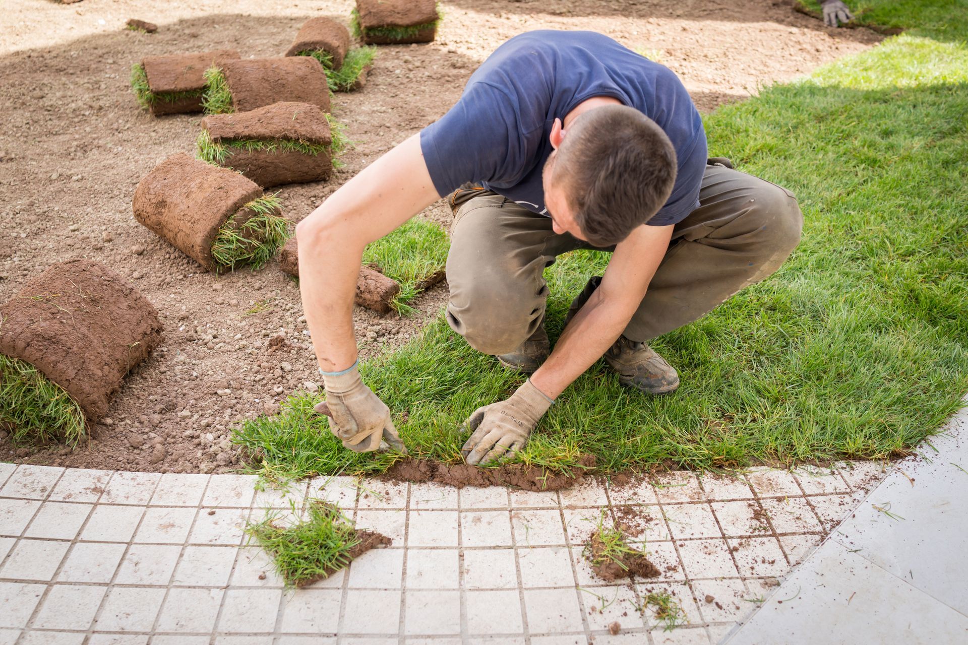 Man installing sod on a lawn, crouching and wearing gloves, near rolled turf.