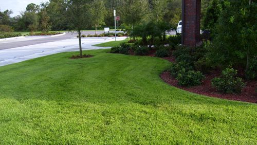 Lush green lawn beside a roadside, with landscaped shrubs and trees near a brick building.
