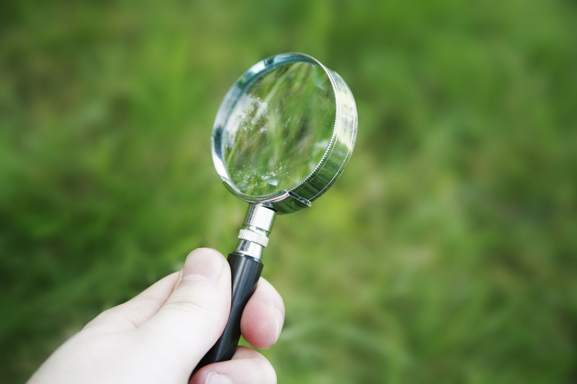 Hand holding magnifying glass over green grass.