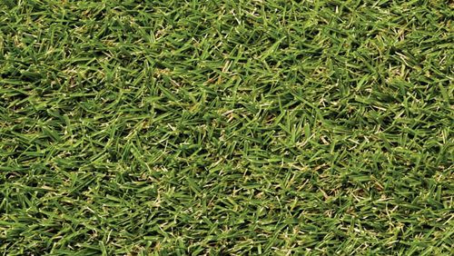 Close-up of dense green grass with scattered yellow-brown blades.