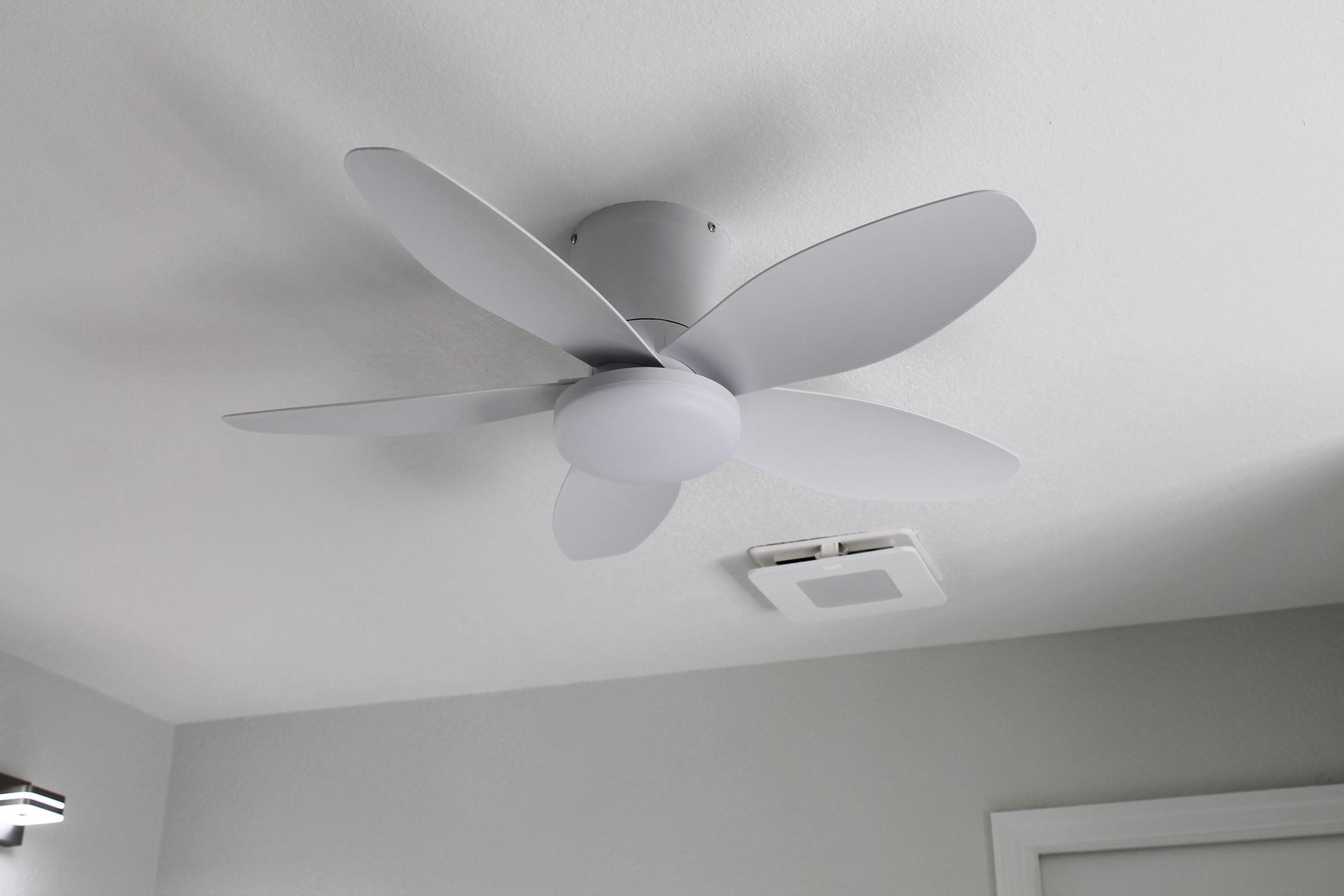 White ceilings, Clean Modern white fan with modern white Blower Fan and Built in Light