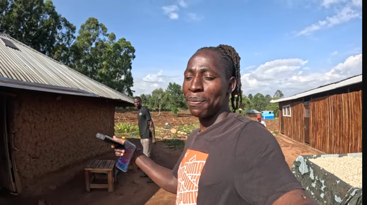 Davy JNR The Scammer