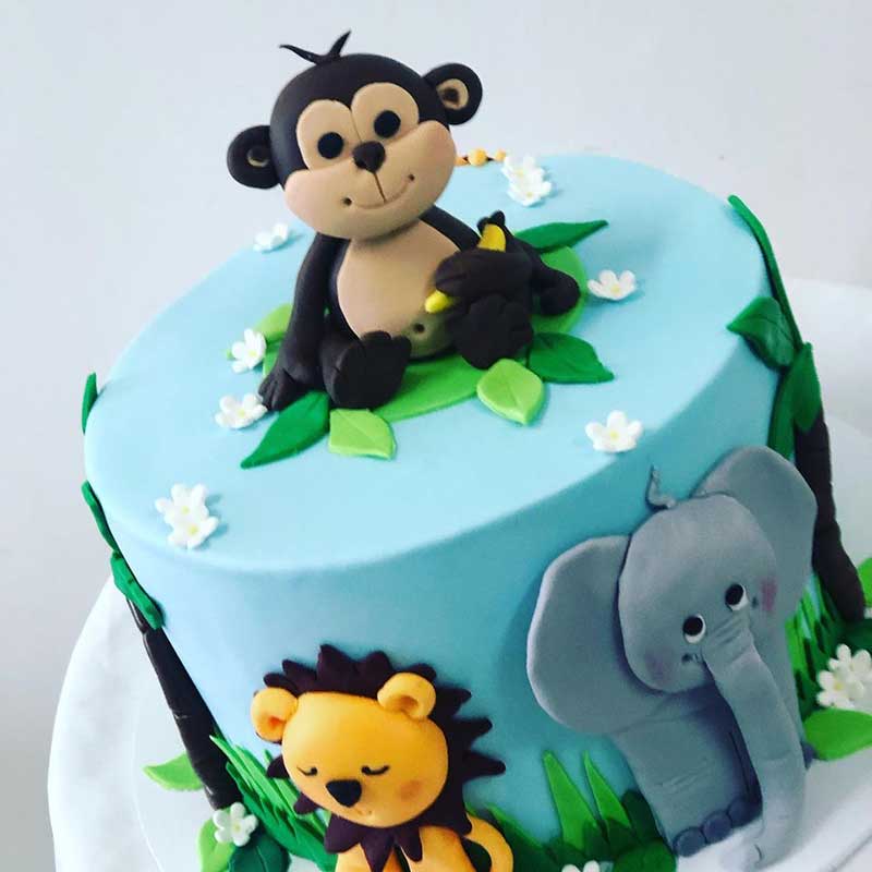 Special Occasion Decorated Birthday Cakes | Cromer