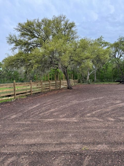 Tree stands near a wooden fence and dirt area on a cloudy day.