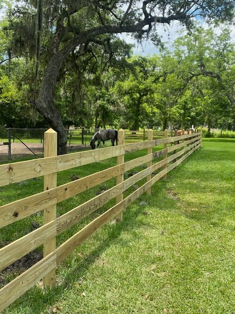 Wooden fence in a grassy field with a dark horse grazing under a tree.