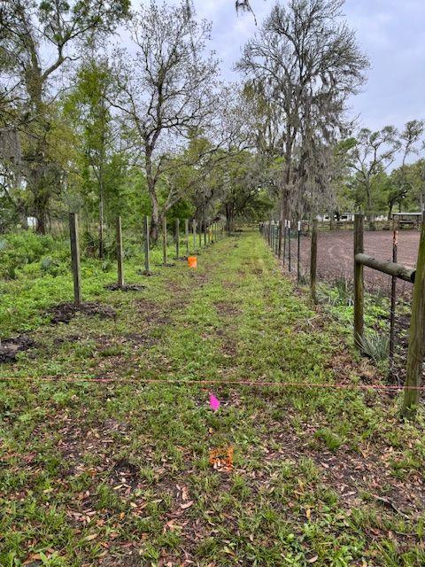 Fence line along a grassy path marked with flags and a bucket, with trees in the background.