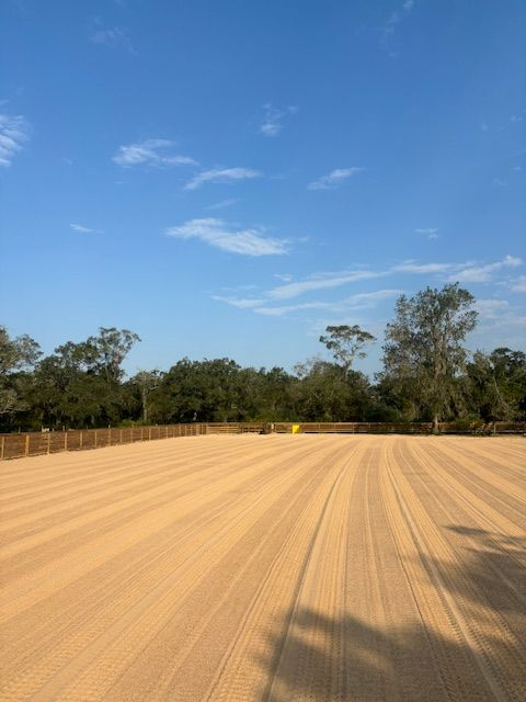 Arena with sand, freshly raked, under a blue sky with trees in the background.