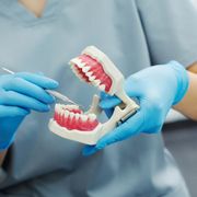 a person wearing blue gloves is holding a model of teeth