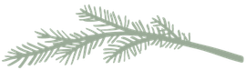 Green fir branch.