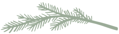 Green fir branch.