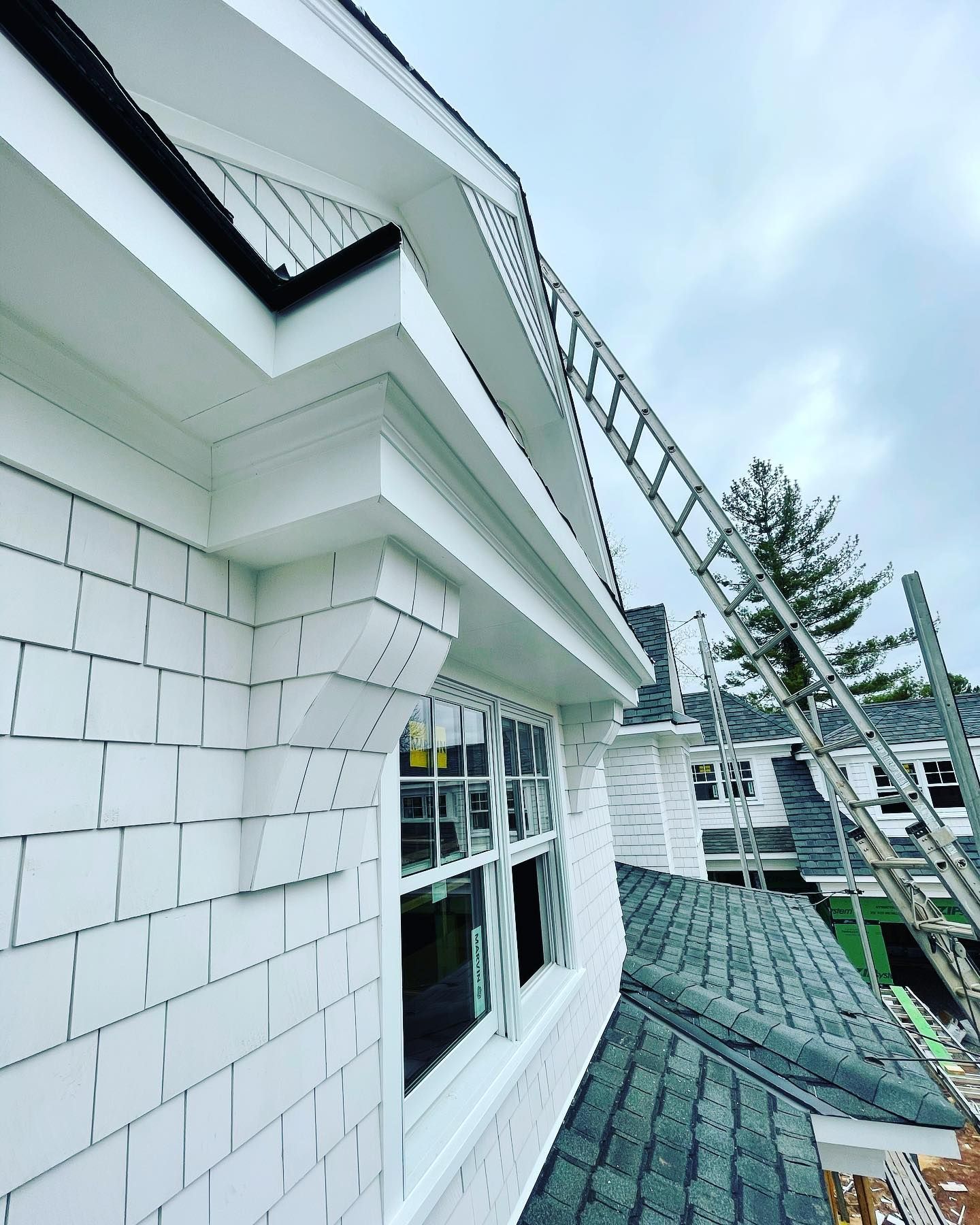 Roof Inspection with a ladder