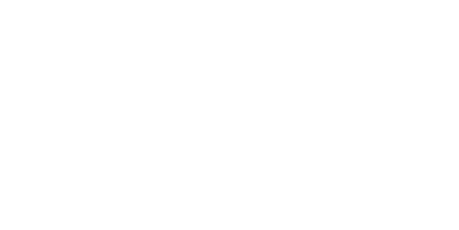 Paese Construction - Logo