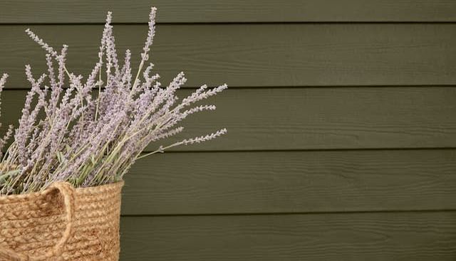 A basket filled with purple flowers is sitting in front of a green wall.