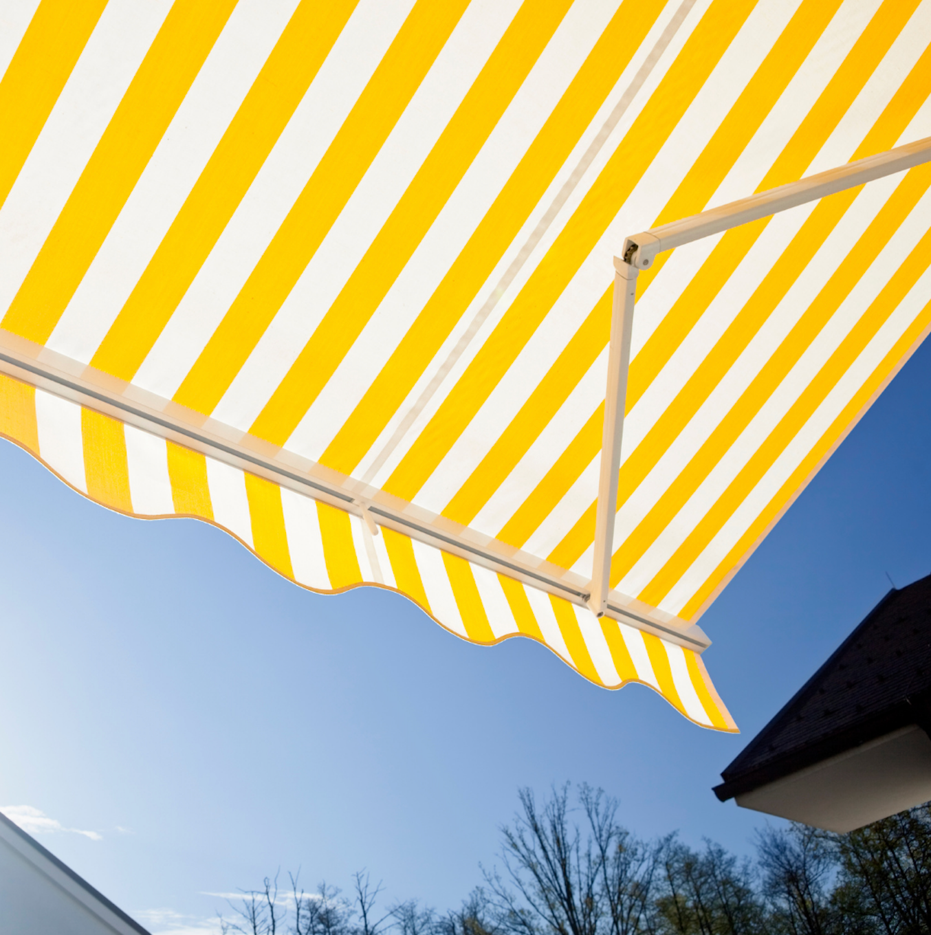 Meilleur storiste Genève