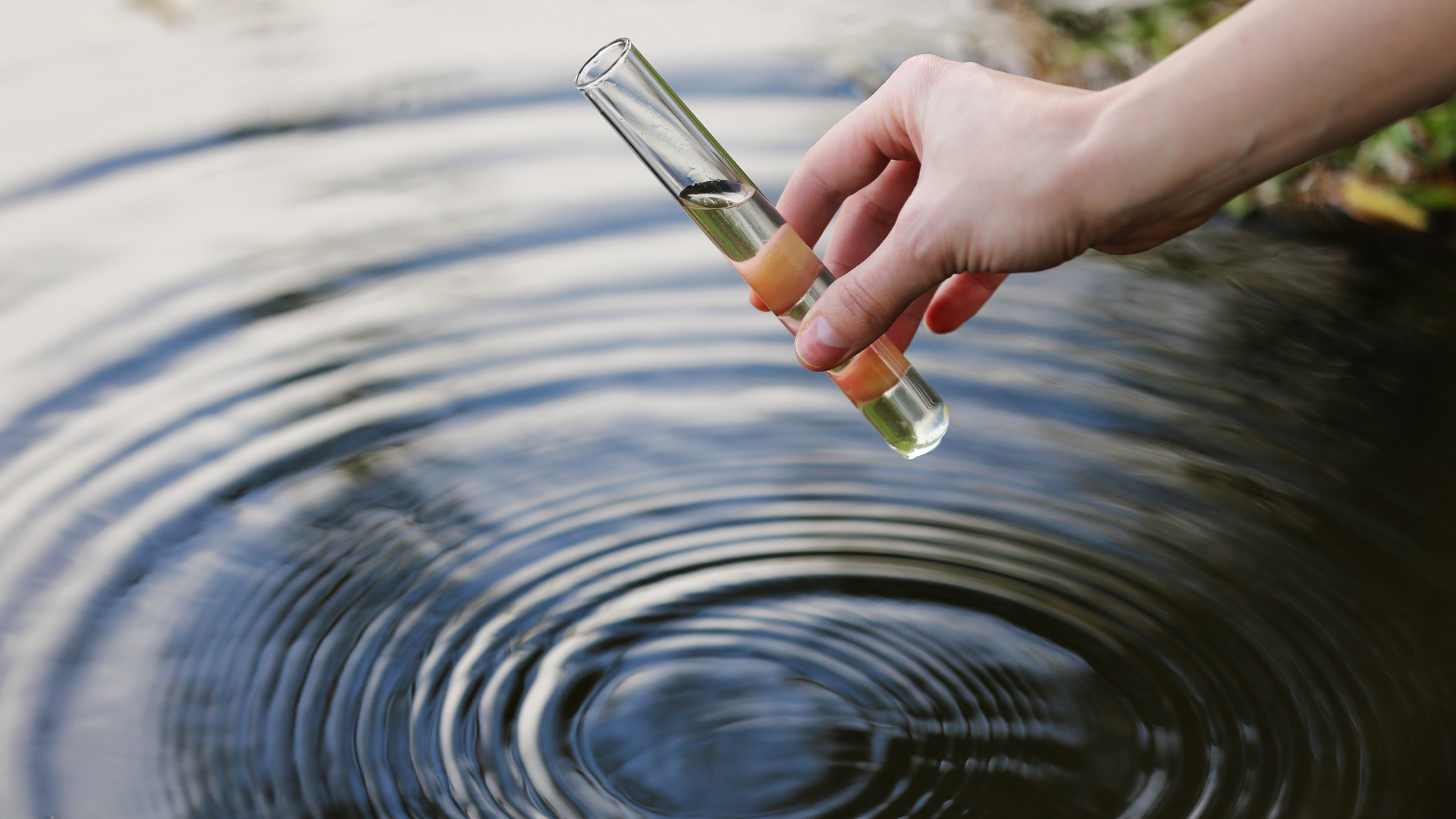 Hand holding a test tube, collecting a water sample from a lake, creating ripples.