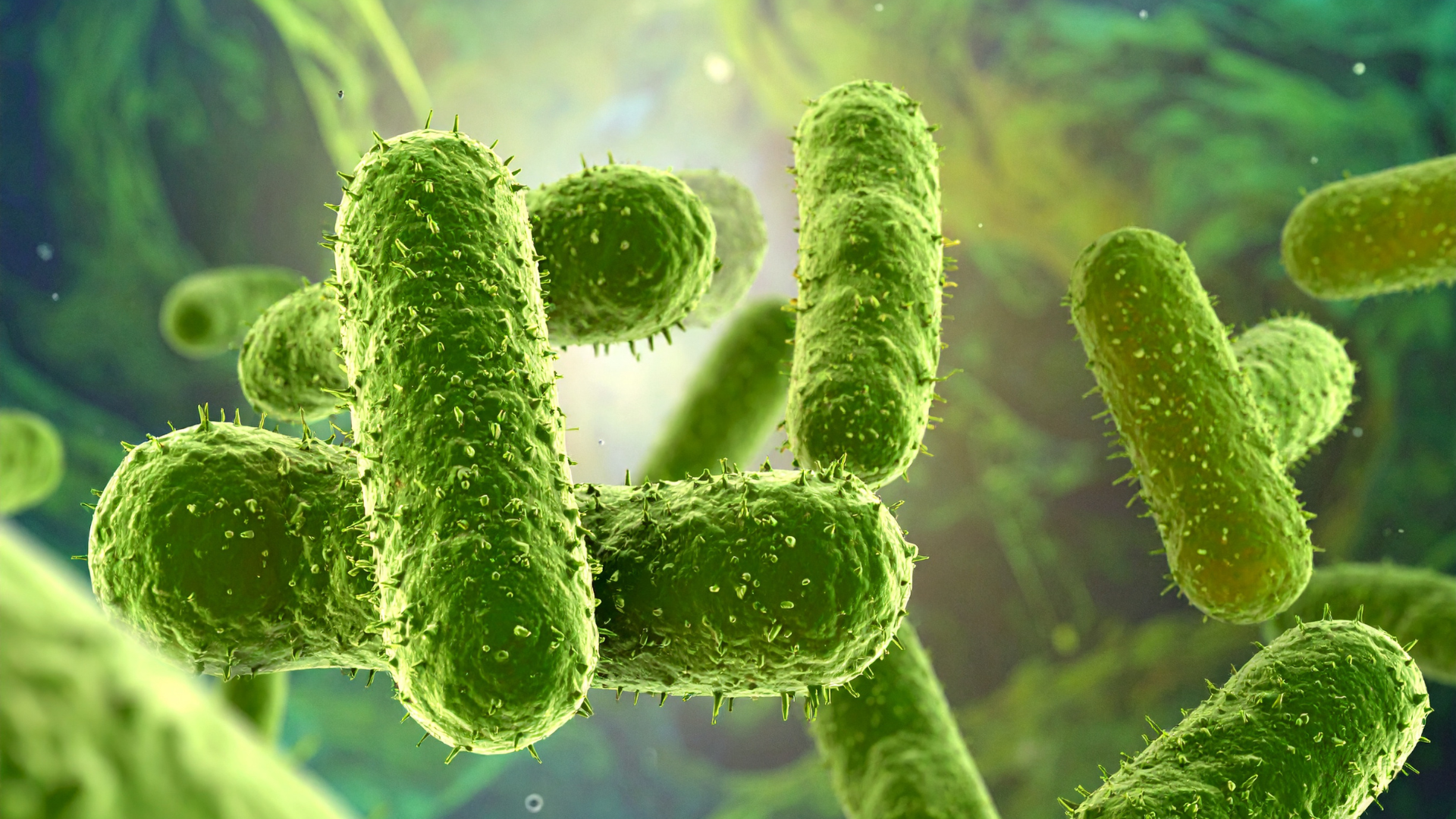 Green rod-shaped bacteria, clustered, with textured surfaces, against a blurred, colorful background.
