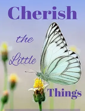 A butterfly is sitting on a flower with the words `` cherish the little things '' written above it.