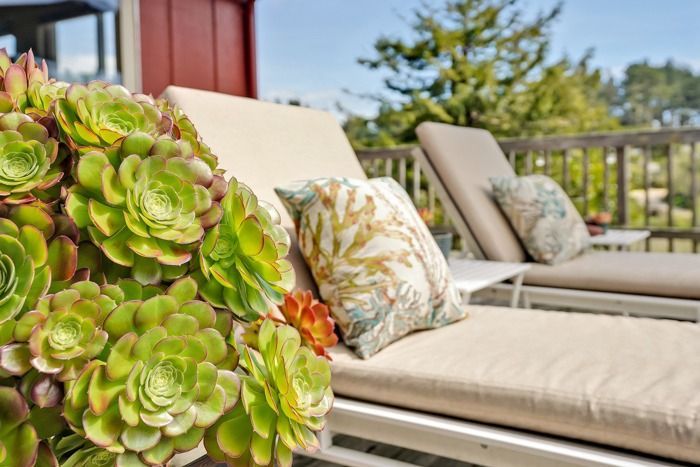 A couple of lounge chairs on a deck with flowers in the background.