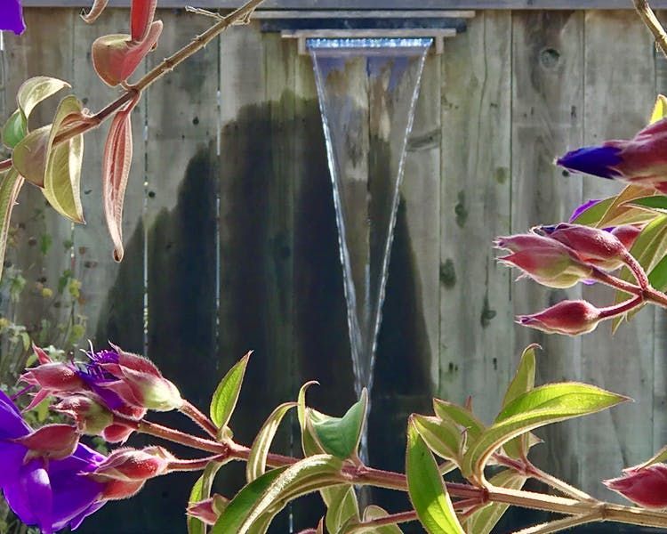 A waterfall is surrounded by purple flowers and green leaves
