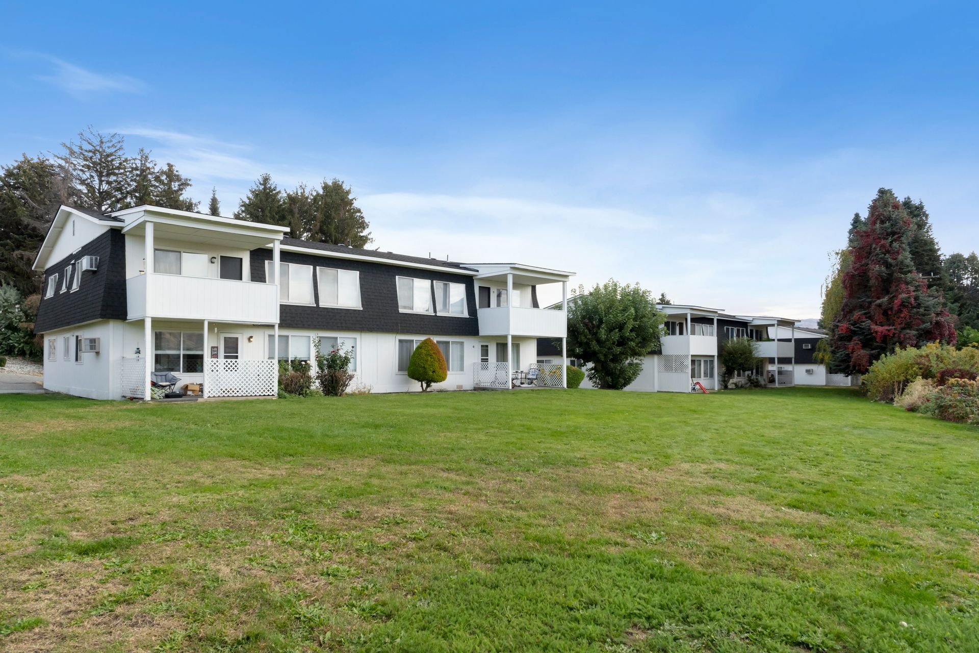 Two-story white townhouses with black roofs. Green grass in front, trees in background, blue sky.