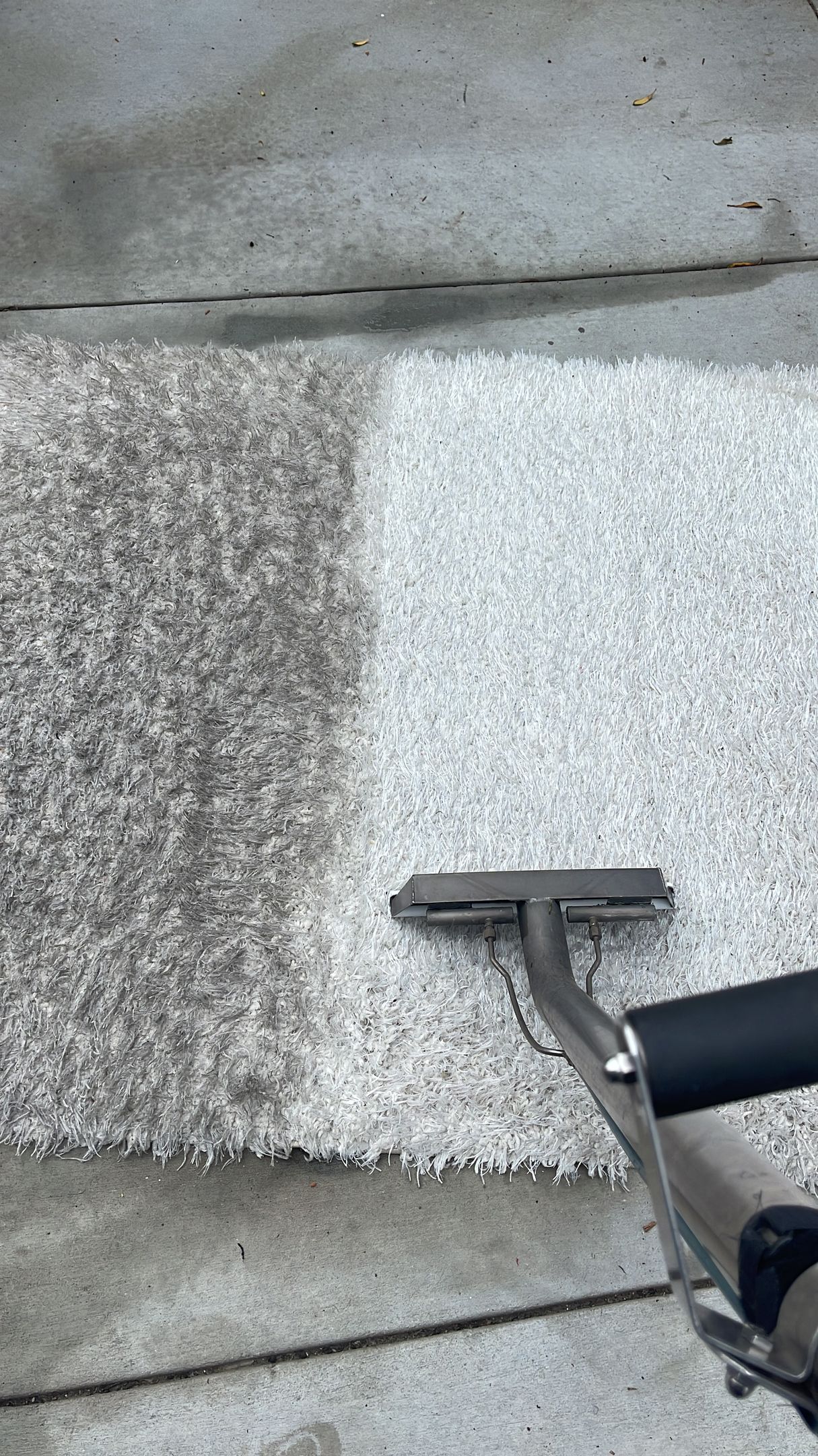 Carpet Cleaning