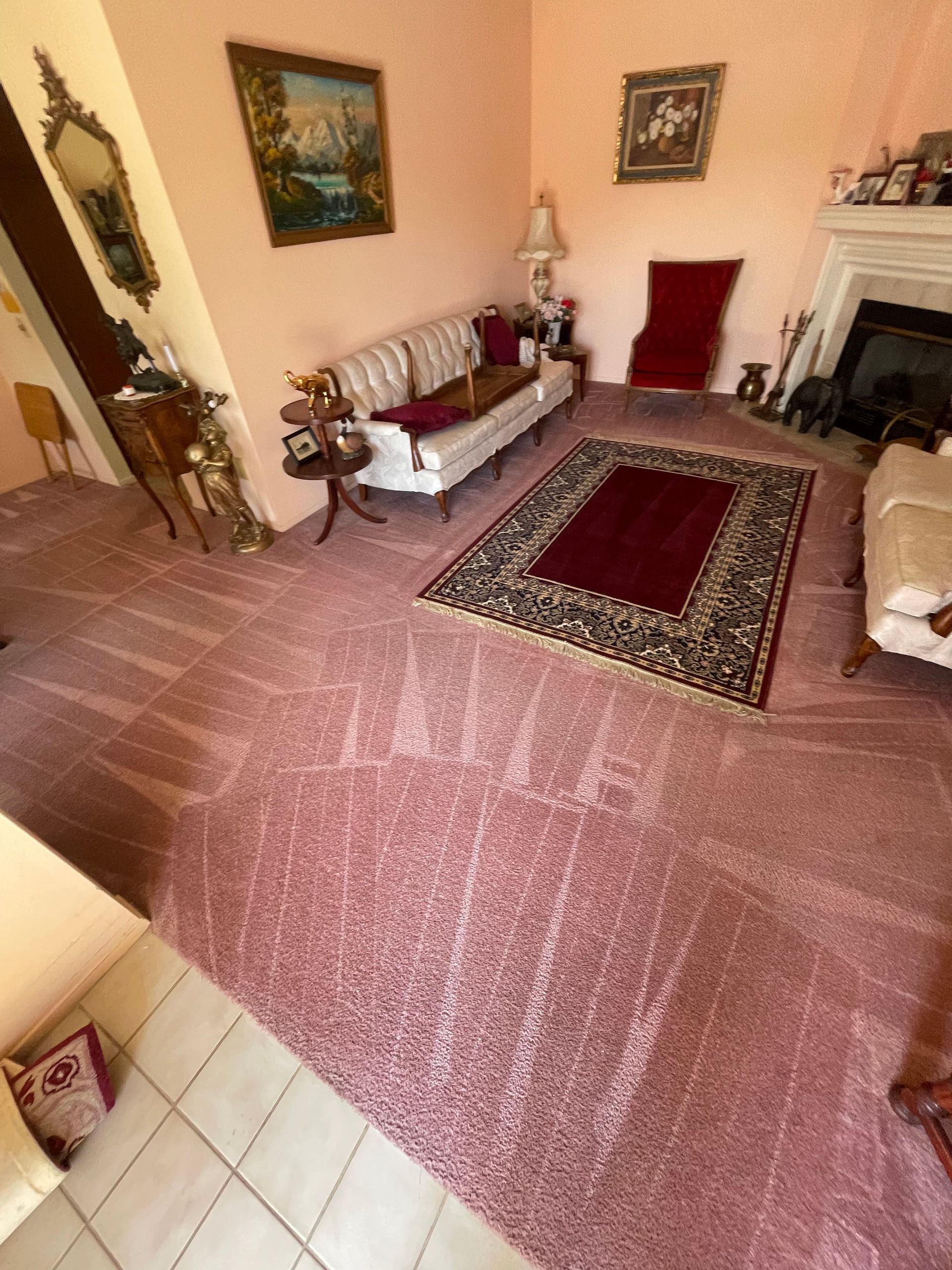 Carpet and Upholstery Cleaning