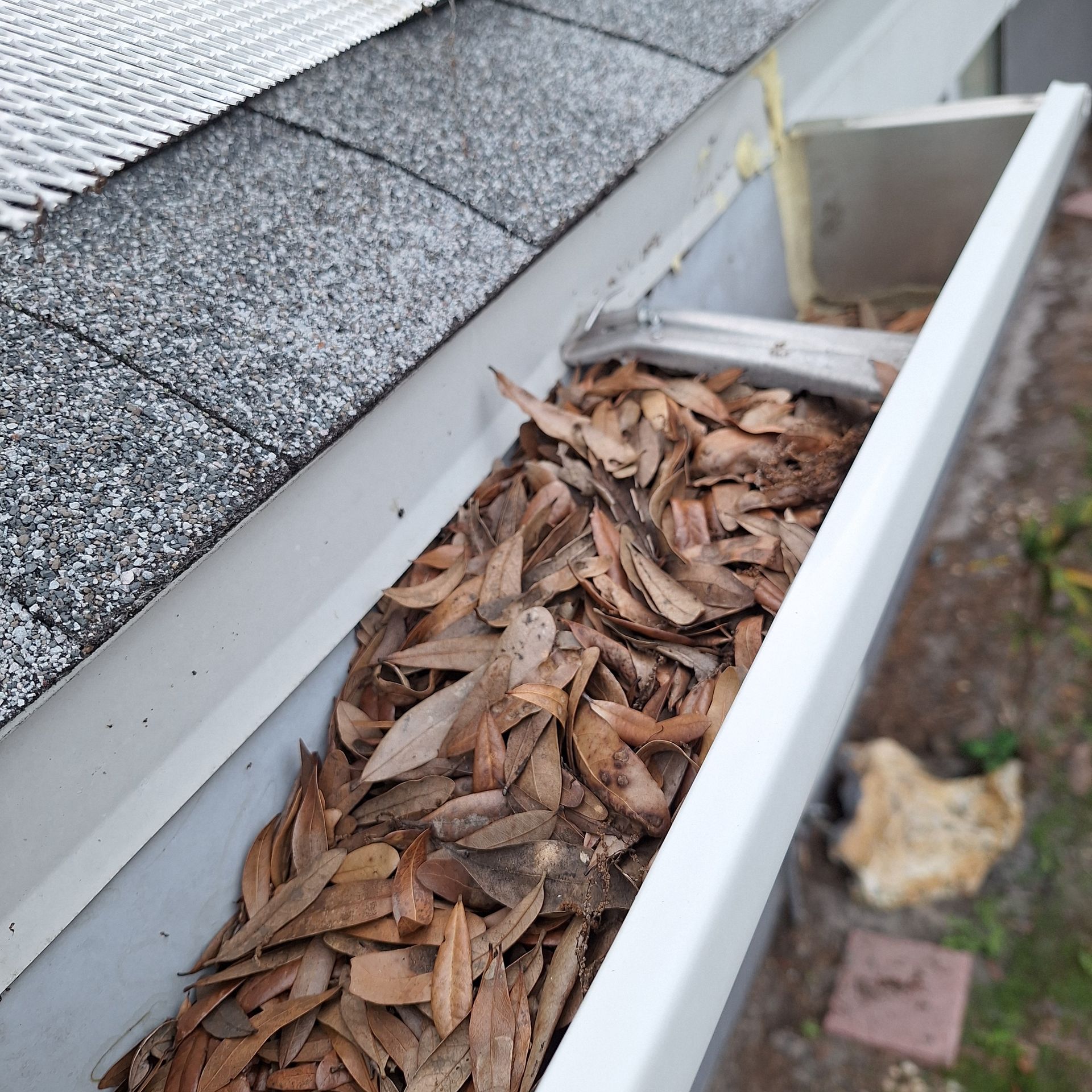 A gutter filled with leaves on the side of a house.