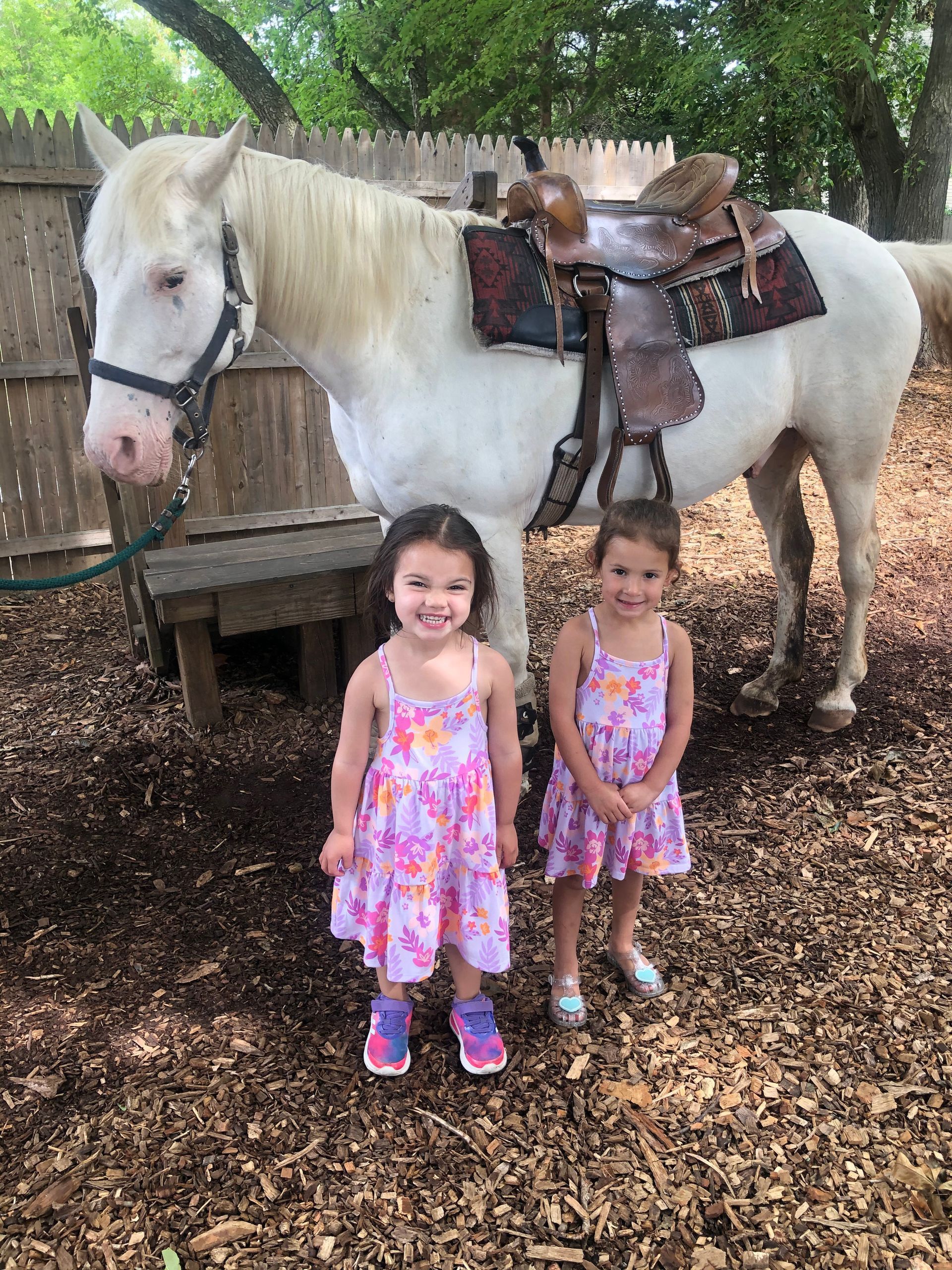 Two little girls are standing next to a white horse.