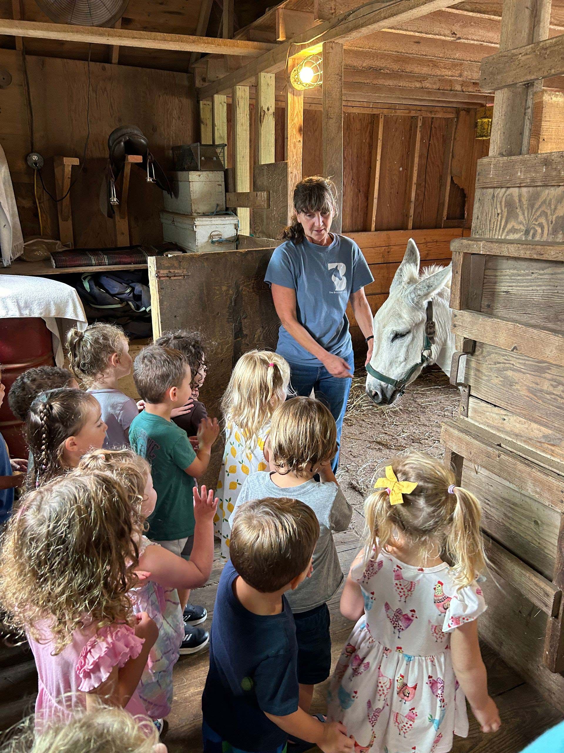 A group of children are standing in a barn looking at a donkey.