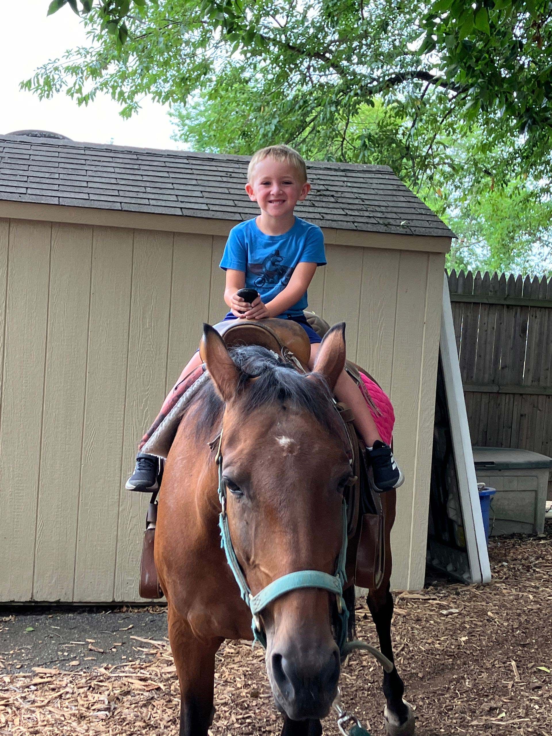 A young boy is riding on the back of a brown horse.