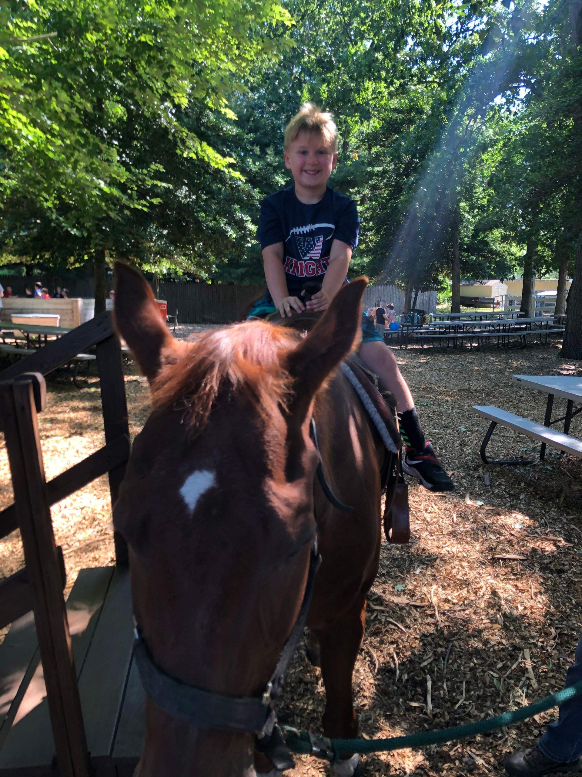 A young boy is riding on the back of a brown horse.