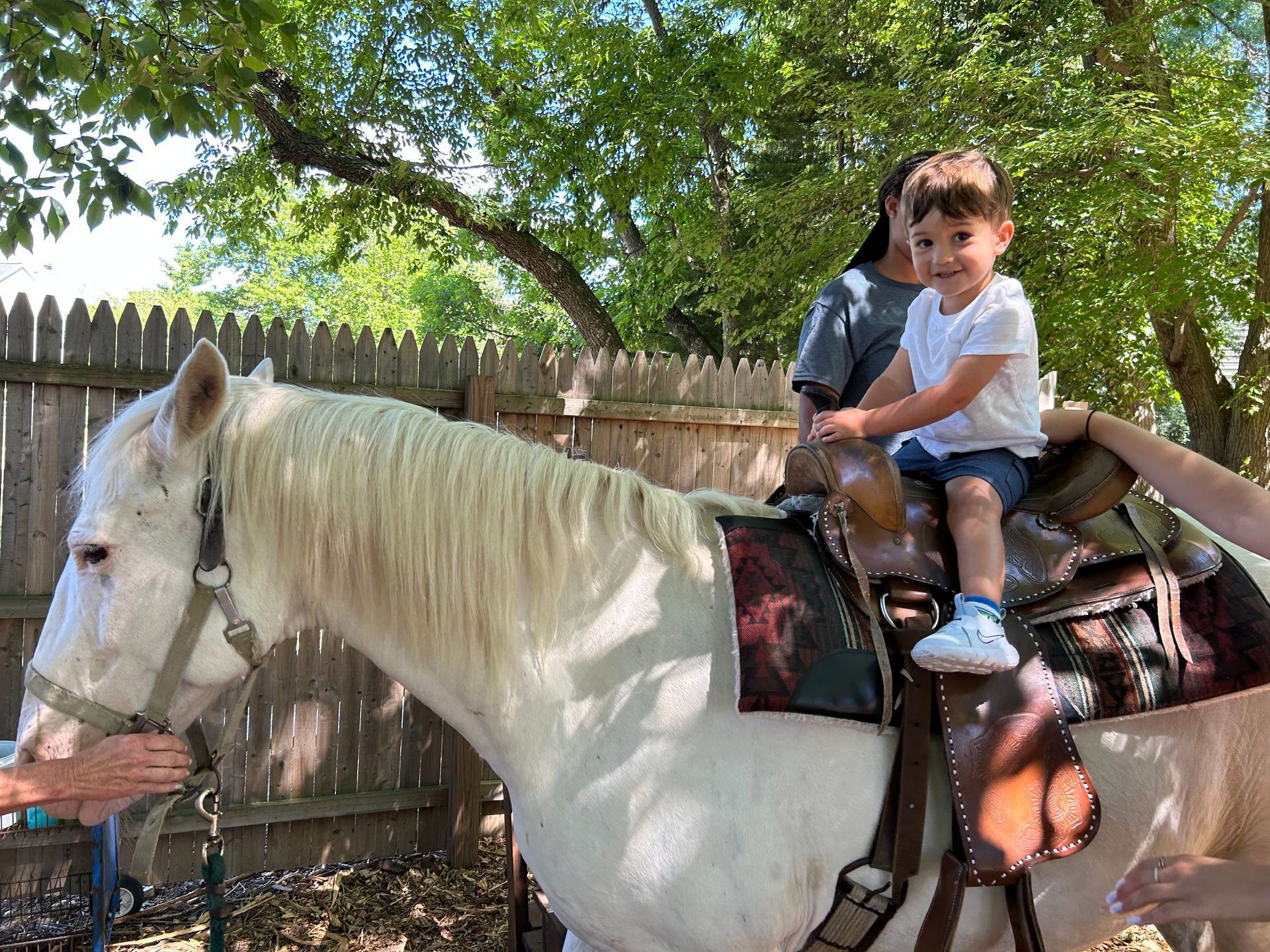 A little boy is riding on the back of a white horse.