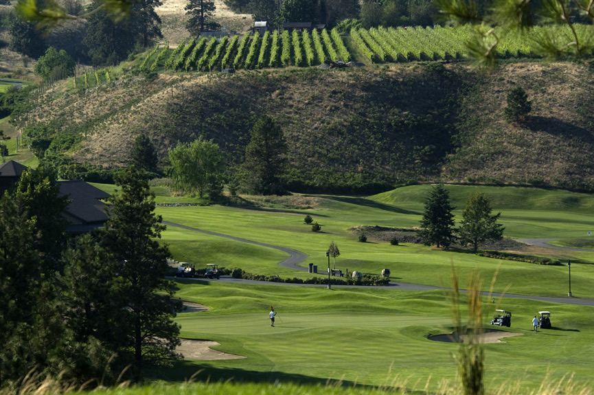A golf course with a vineyard in the background