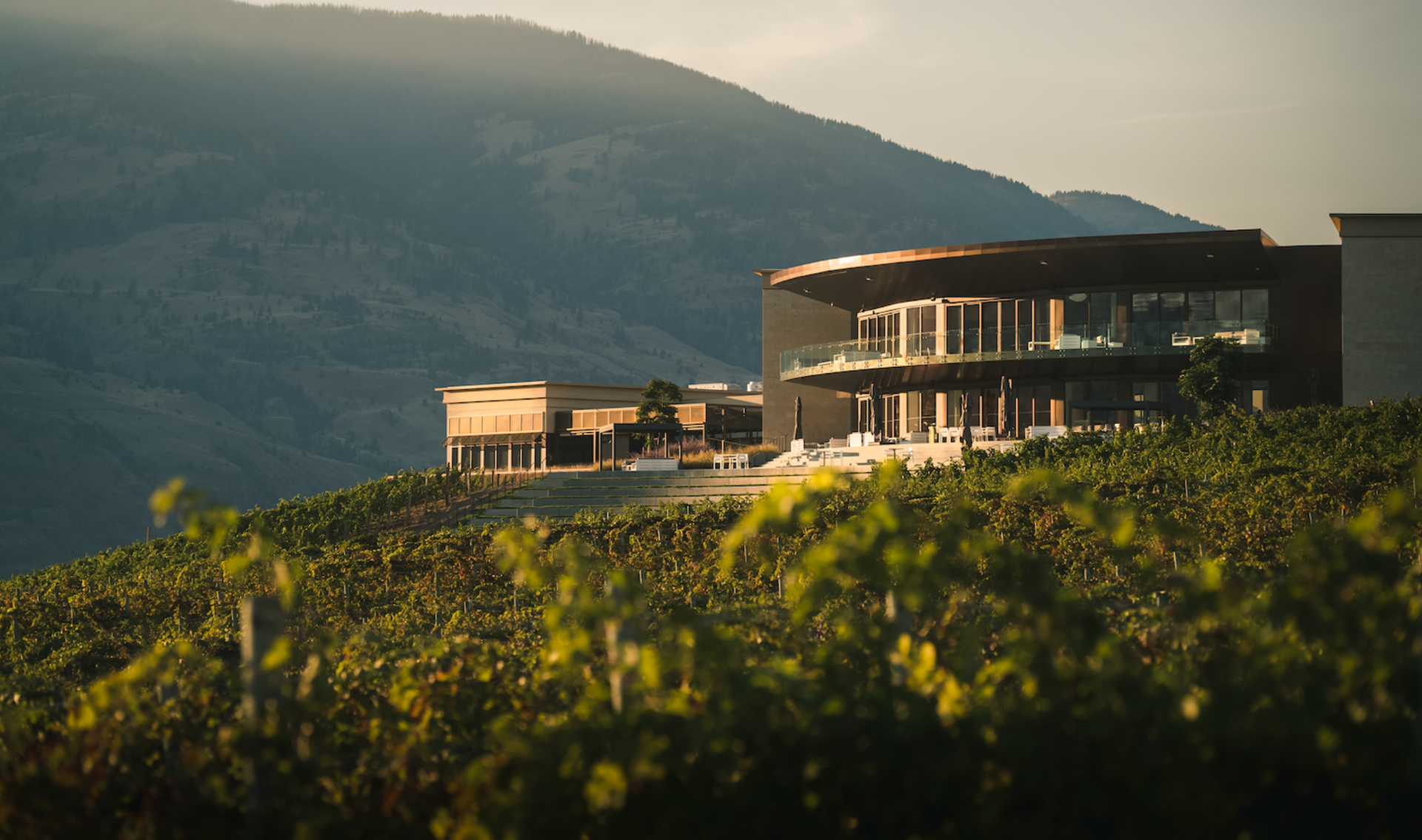 A large building is sitting on top of a hill next to a vineyard.