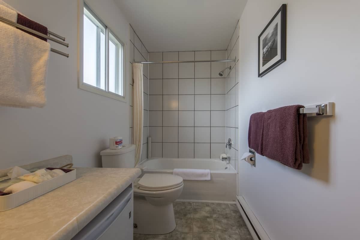 A bathroom with a toilet a tub and a window