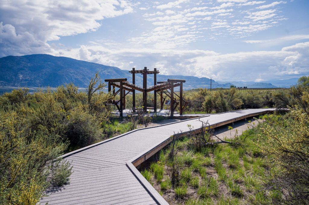 A wooden walkway going through a lush green field with mountains in the background.