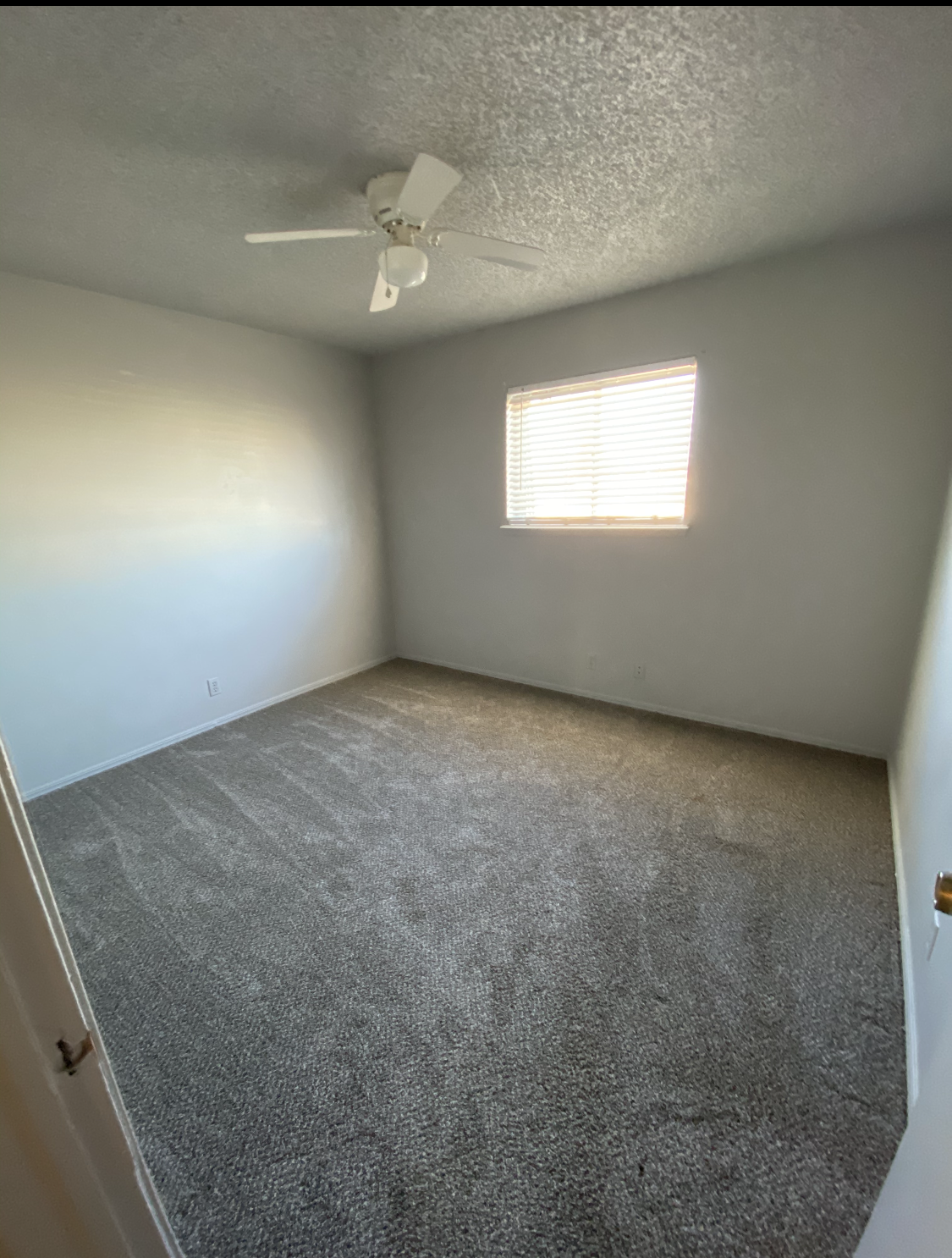 an empty bedroom with a ceiling fan and a window .